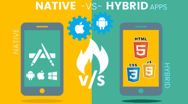Hybrid Mobile App