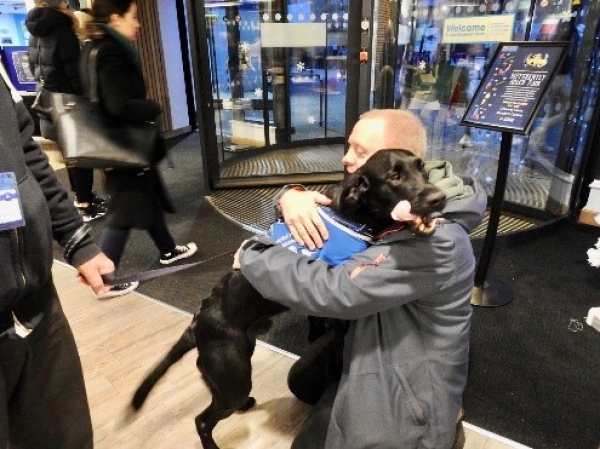 School Therapy Dogs