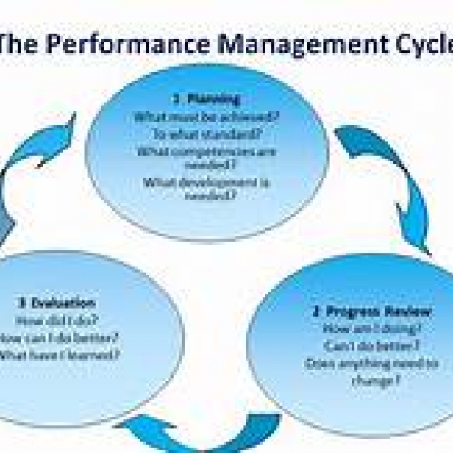Performance